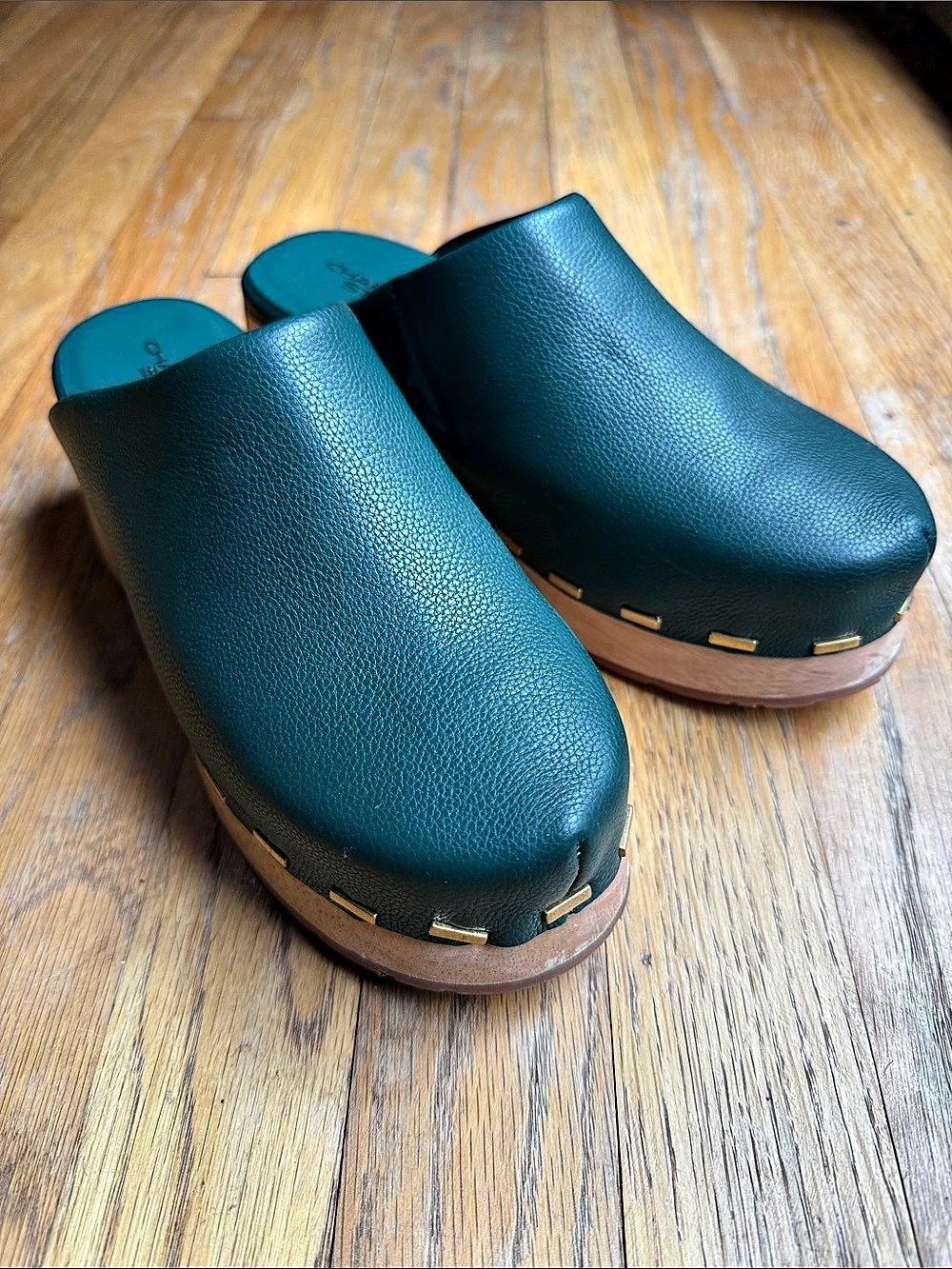 Charlotte Stone Wooden Heel Clogs in Green